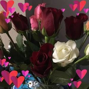 Meet your Posher, Alberta